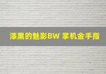 漆黑的魅影BW 掌机金手指